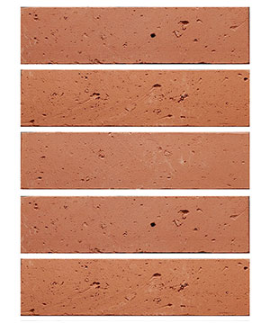 2022.5.16_10.24.26_6223