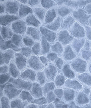 2024.7.2_11.20.38_8703