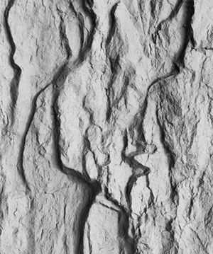 2025.4.12_17.28.43_5878