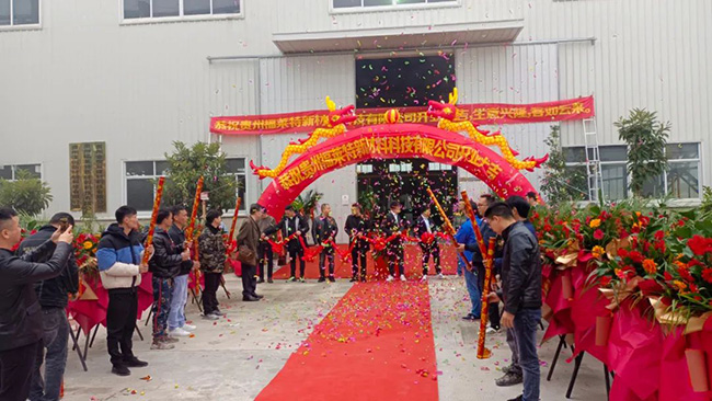 Z6·尊龙凯时「中国区」官方网站